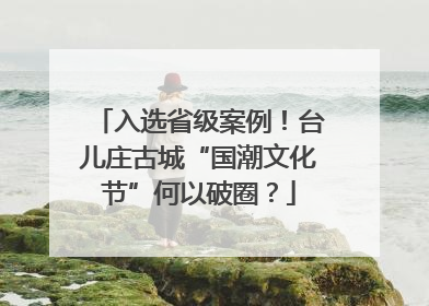 入选省级案例！台儿庄古城“国潮文化节”何以破圈？