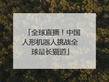 全球直播！中国人形机器人挑战全球最长猫道