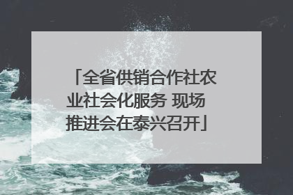 全省供销合作社农业社会化服务 现场推进会在泰兴召开