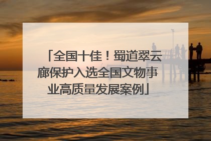 全国十佳！蜀道翠云廊保护入选全国文物事业高质量发展案例