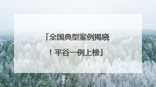 全国典型案例揭晓！平谷一例上榜