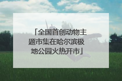 全国首创动物主题市集在哈尔滨极地公园火热开市