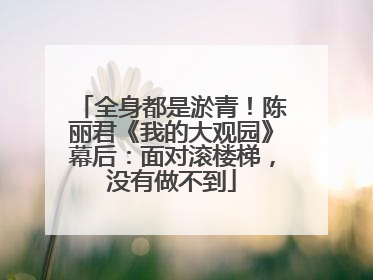 全身都是淤青！陈丽君《我的大观园》幕后：面对滚楼梯，没有做不到