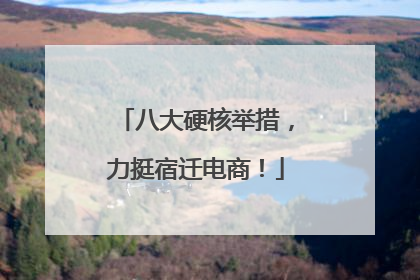 八大硬核举措，力挺宿迁电商！