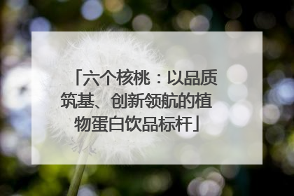 六个核桃：以品质筑基、创新领航的植物蛋白饮品标杆