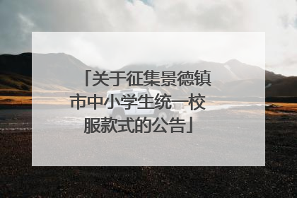 关于征集景德镇市中小学生统一校服款式的公告