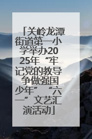 关岭龙潭街道第一小学举办2025年“牢记党的教导 争做强国少年”“六一”文艺汇演活动