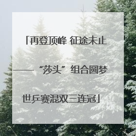 再登顶峰 征途未止——“莎头”组合圆梦世乒赛混双三连冠