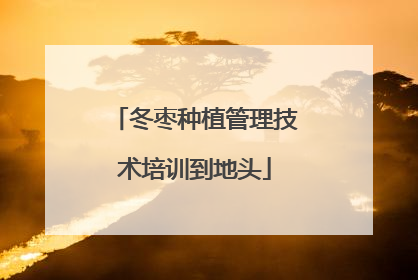 冬枣种植管理技术培训到地头