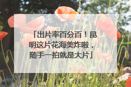 出片率百分百！昆明这片花海美炸啦，随手一拍就是大片