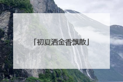 初夏洒金香飘散