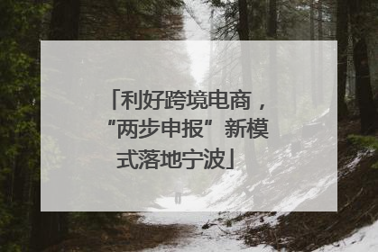 利好跨境电商，“两步申报”新模式落地宁波
