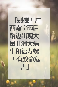 别碰！广西南宁雨后路边出现大量非洲大蜗牛和福寿螺！有致命危害
