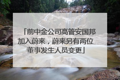 前中金公司高管安国邦加入蔚来，蔚来另有两位董事发生人员变更