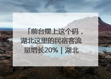 前台摆上这个码，湖北这里的民宿客流量增长20%｜湖北市场监管所的故事