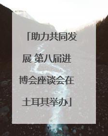助力共同发展 第八届进博会座谈会在土耳其举办