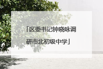 区委书记钟晓咏调研市北初级中学