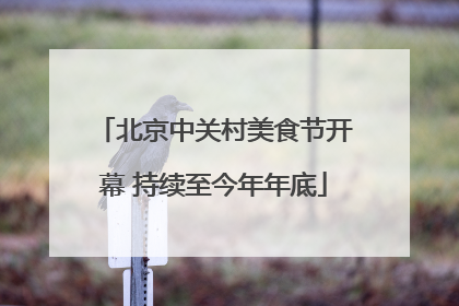北京中关村美食节开幕 持续至今年年底