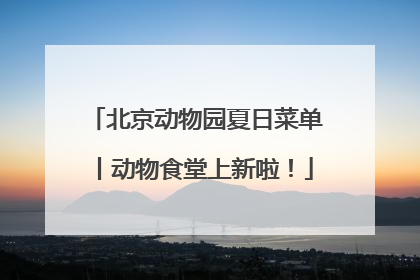 北京动物园夏日菜单丨动物食堂上新啦！
