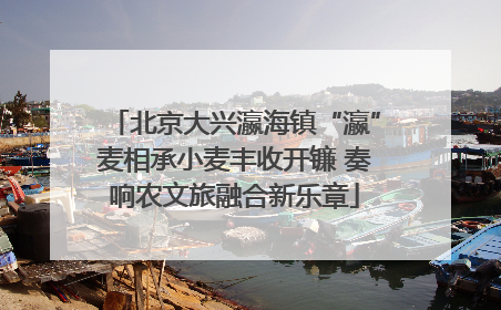 北京大兴瀛海镇“瀛”麦相承小麦丰收开镰 奏响农文旅融合新乐章