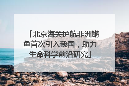 北京海关护航非洲鳉鱼首次引入我国，助力生命科学前沿研究