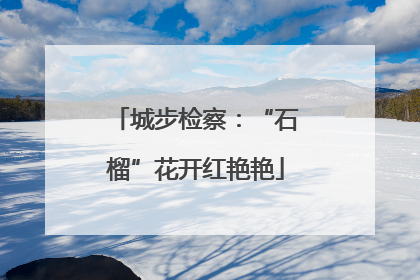 城步检察：“石榴”花开红艳艳