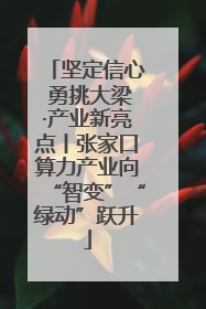 坚定信心 勇挑大梁·产业新亮点丨张家口算力产业向“智变”“绿动”跃升