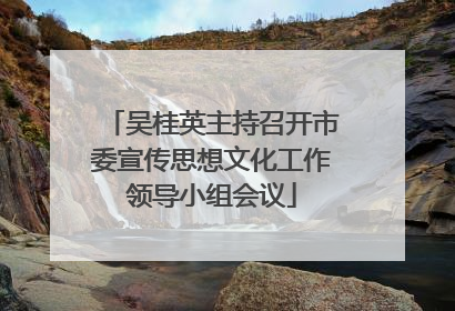 吴桂英主持召开市委宣传思想文化工作领导小组会议