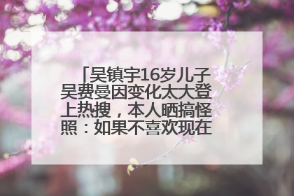 吴镇宇16岁儿子吴费曼因变化太大登上热搜，本人晒搞怪照：如果不喜欢现在的我可以离开