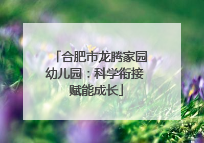 合肥市龙腾家园幼儿园：科学衔接 赋能成长