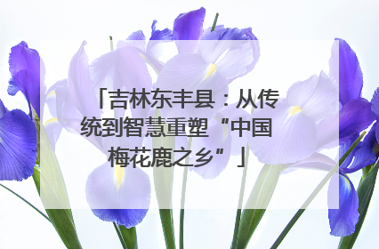 吉林东丰县：从传统到智慧重塑“中国梅花鹿之乡”