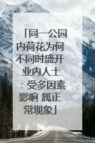 同一公园内荷花为何不同时盛开 业内人士：受多因素影响 属正常现象