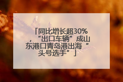 同比增长超30%,“出口车辆”成山东港口青岛港出海“头号选手”