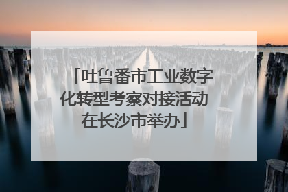 吐鲁番市工业数字化转型考察对接活动在长沙市举办