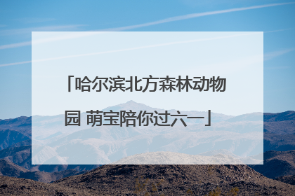 哈尔滨北方森林动物园 萌宝陪你过六一