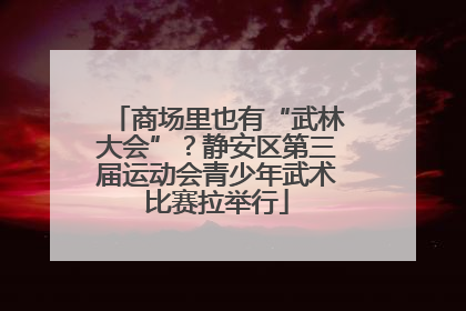 商场里也有“武林大会”？静安区第三届运动会青少年武术比赛拉举行
