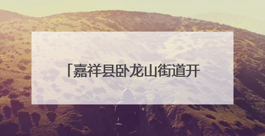 嘉祥县卧龙山街道开展“爱心粽香到万家 暖心端午送安康” “五为”志愿服务活动