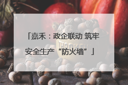 嘉禾：政企联动 筑牢安全生产“防火墙”