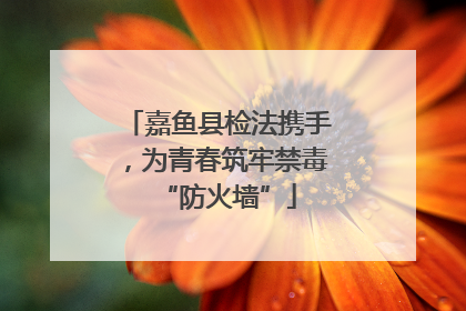 嘉鱼县检法携手，为青春筑牢禁毒“防火墙”