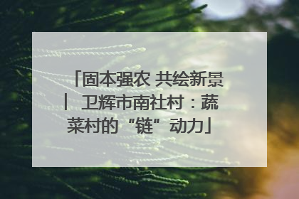 固本强农 共绘新景 ︳卫辉市南社村：蔬菜村的“链”动力