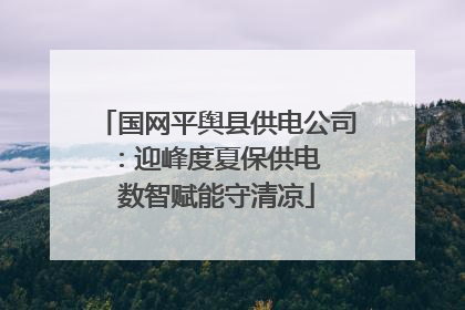 国网平舆县供电公司：迎峰度夏保供电  数智赋能守清凉