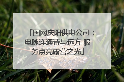国网庆阳供电公司：电脉连通诗与远方 服务点亮露营之光