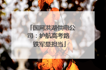 国网洪湖供电公司：护航高考路 铁军显担当