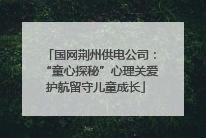 国网荆州供电公司：“童心探秘”心理关爱护航留守儿童成长