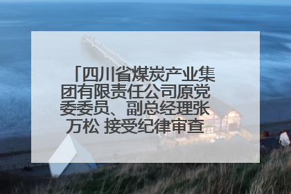 四川省煤炭产业集团有限责任公司原党委委员、副总经理张万松 接受纪律审查和监察调查