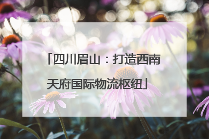 四川眉山：打造西南天府国际物流枢纽