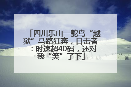 四川乐山一鸵鸟“越狱”马路狂奔，目击者：时速超40码，还对我“笑”了下