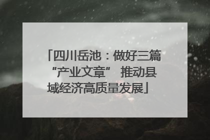四川岳池：做好三篇“产业文章” 推动县域经济高质量发展