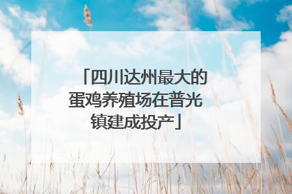四川达州最大的蛋鸡养殖场在普光镇建成投产