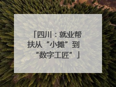 四川：就业帮扶从“小摊”到“数字工匠”